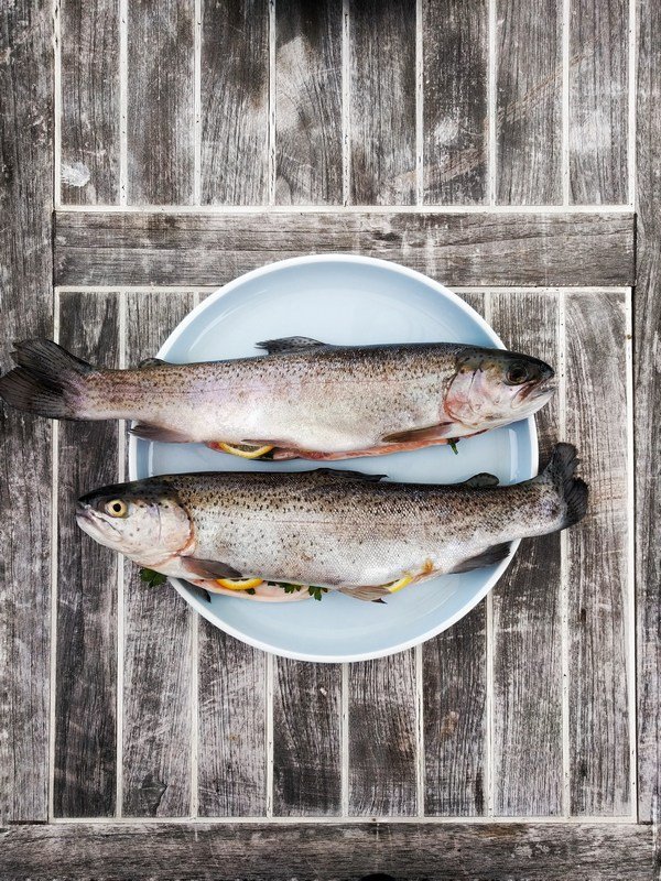 Dieta paleo whole30