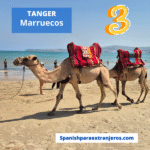 tanger